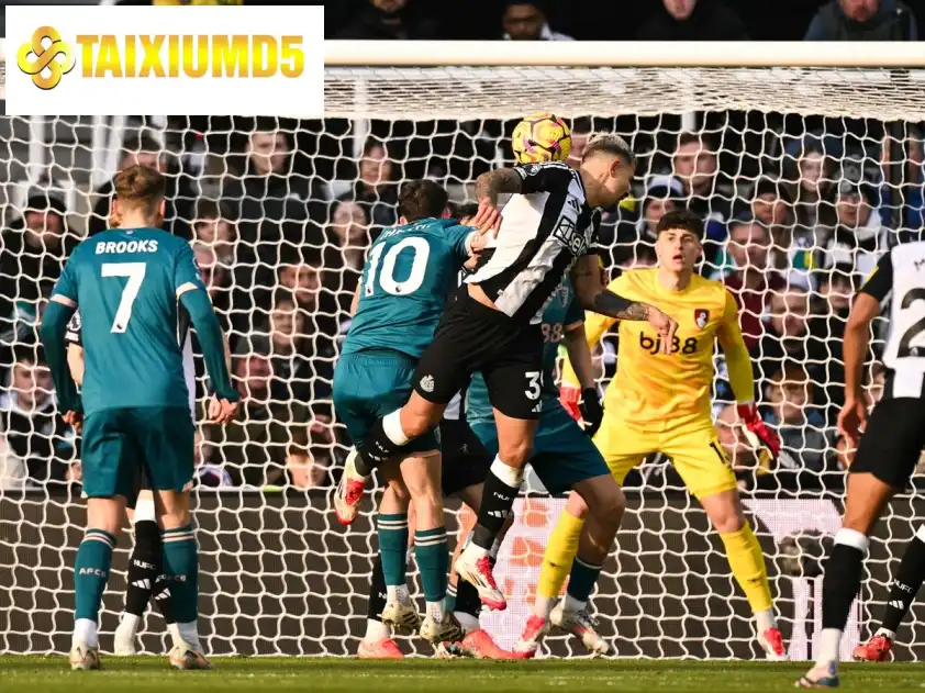 Mùa giải này các cầu thủ của Newcastle United không có phong độ cao (Ảnh: ESPN)